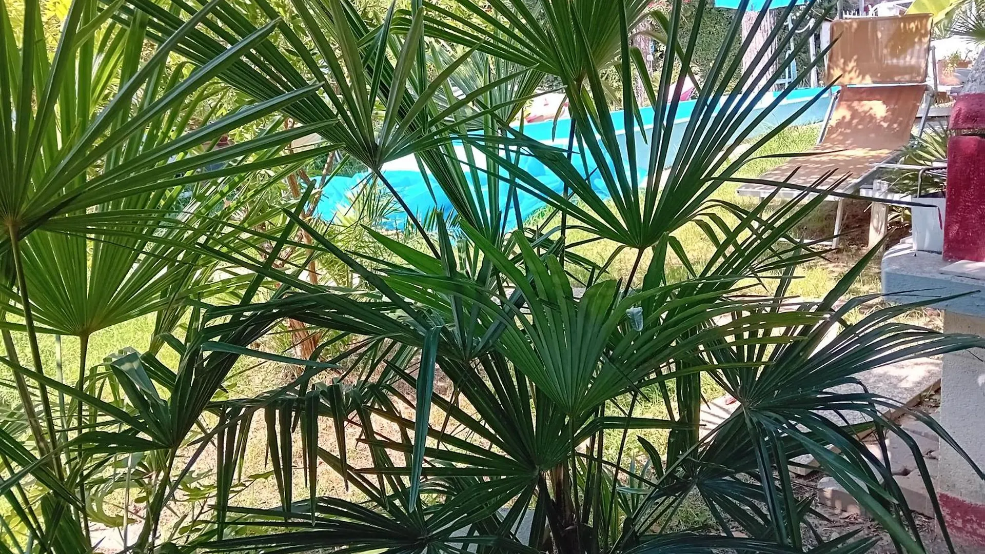 Sogno Vacanze Apartment Massa