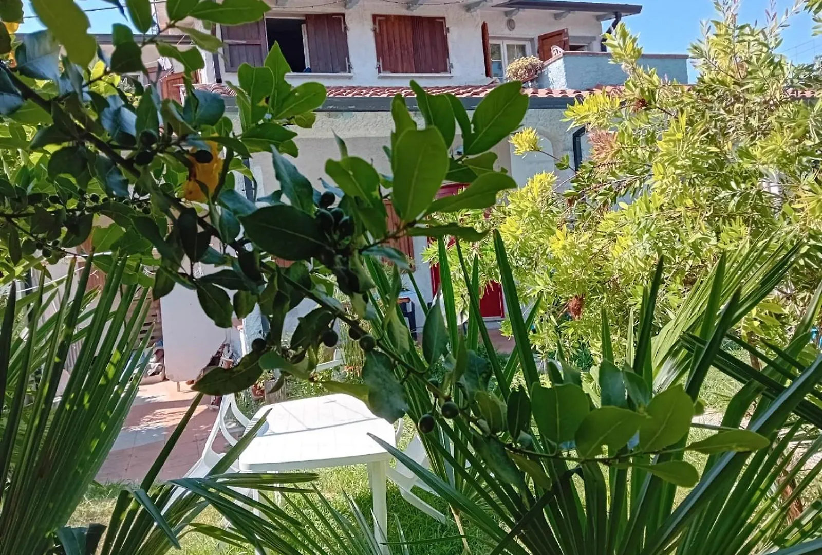 Sogno Vacanze Apartment Massa   Massa (Tuscany)