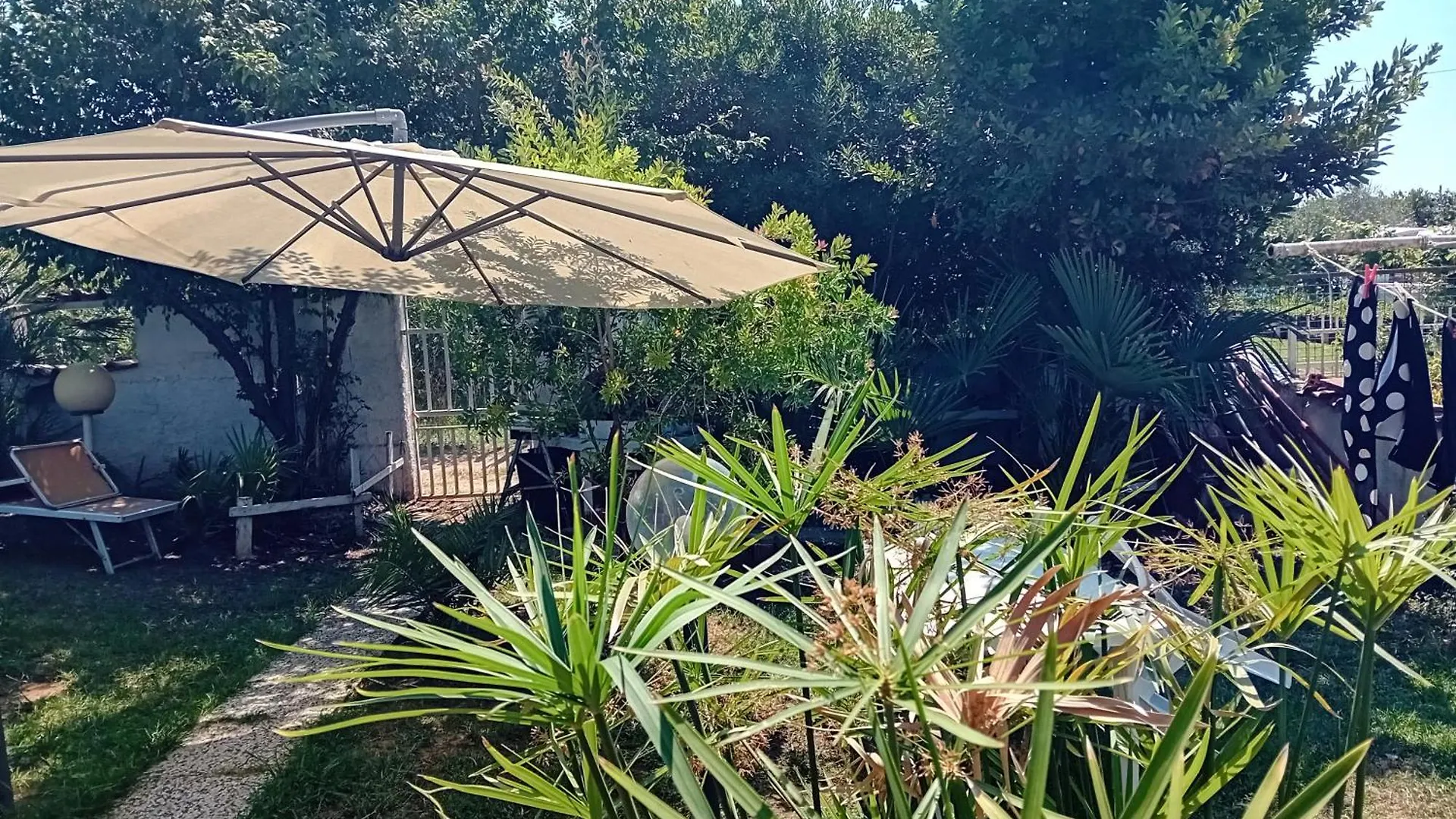 Sogno Vacanze Apartment Massa