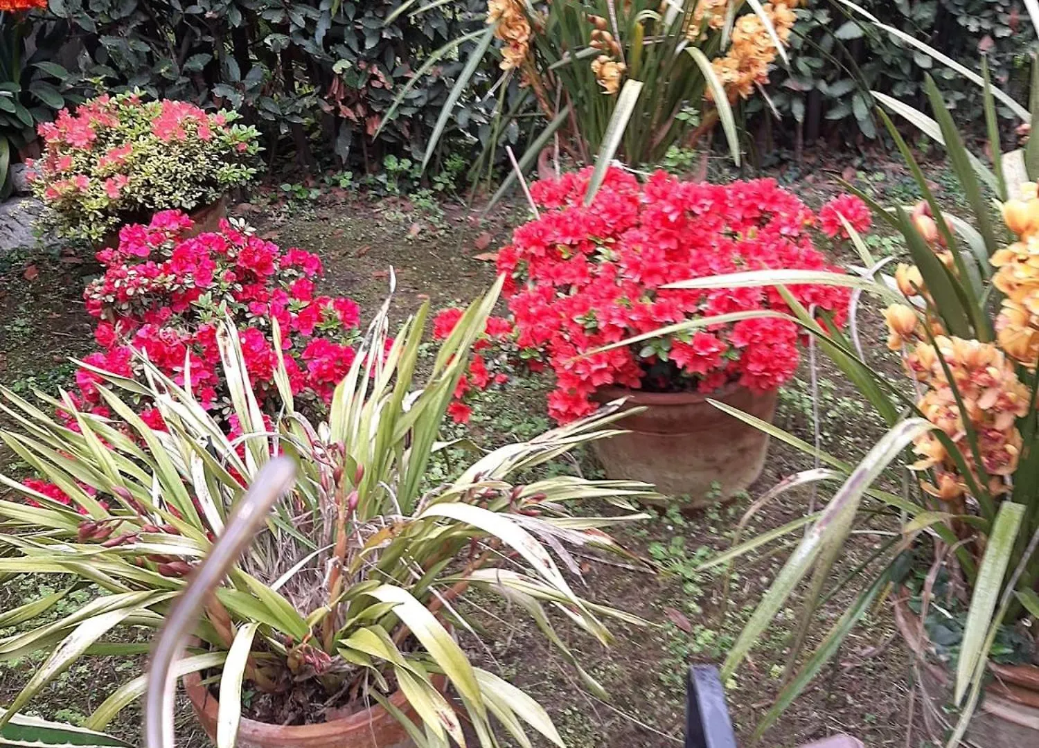 Sogno Vacanze Apartment Massa  Italy